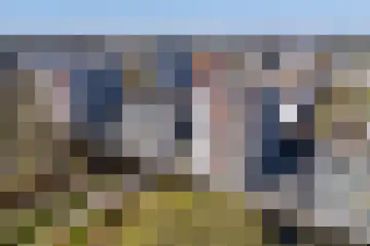 Osdorper Ban 1027 Amsterdam thumbnail 22