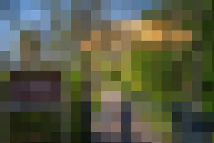 Osdorper Ban 1027 Amsterdam thumbnail 23