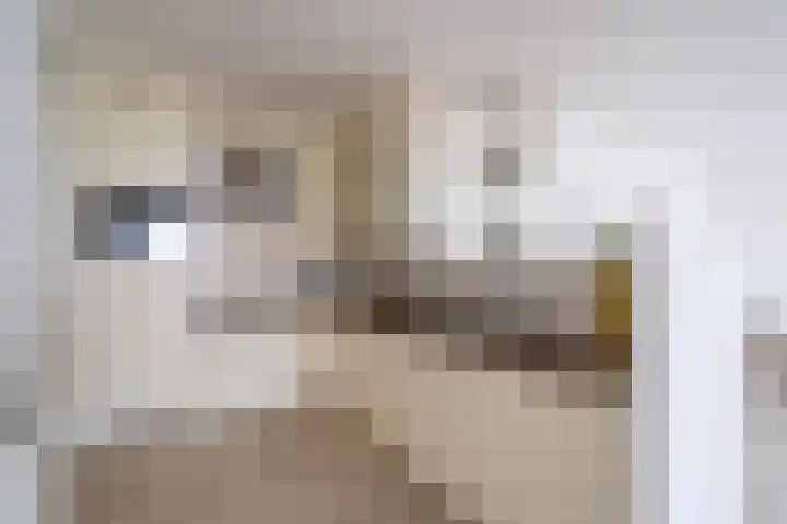 Osdorper Ban 1055 Amsterdam thumbnail 16
