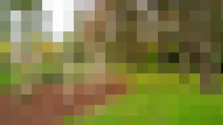 Osdorper Ban 1055 Amsterdam thumbnail 39