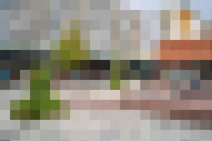 Osdorper Ban 1055 Amsterdam thumbnail 43