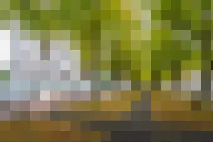 Osdorper Ban 1055 Amsterdam thumbnail 46