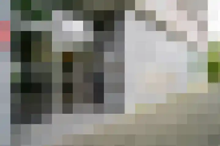 Osdorper Ban 1055 Amsterdam thumbnail 48