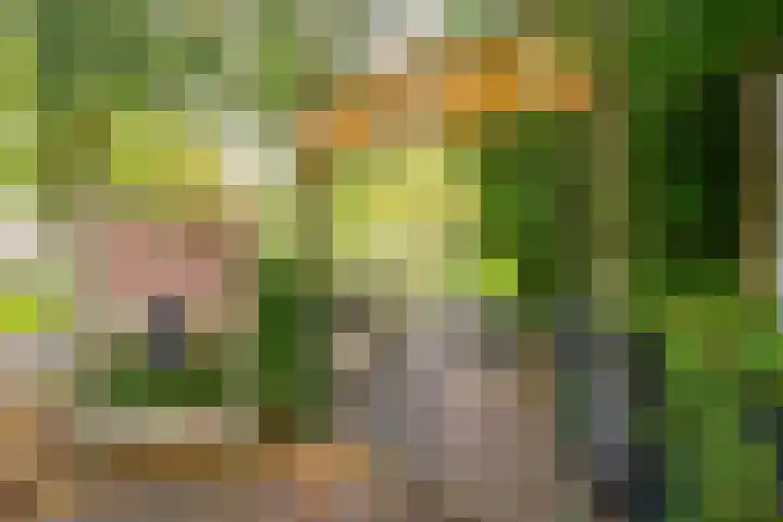 Osdorper Ban 1055 Amsterdam thumbnail 50