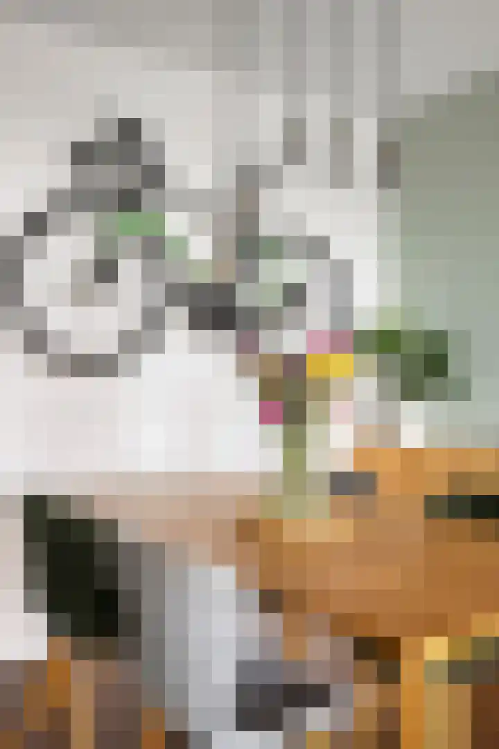 Osdorper Ban 1059 Amsterdam thumbnail 15