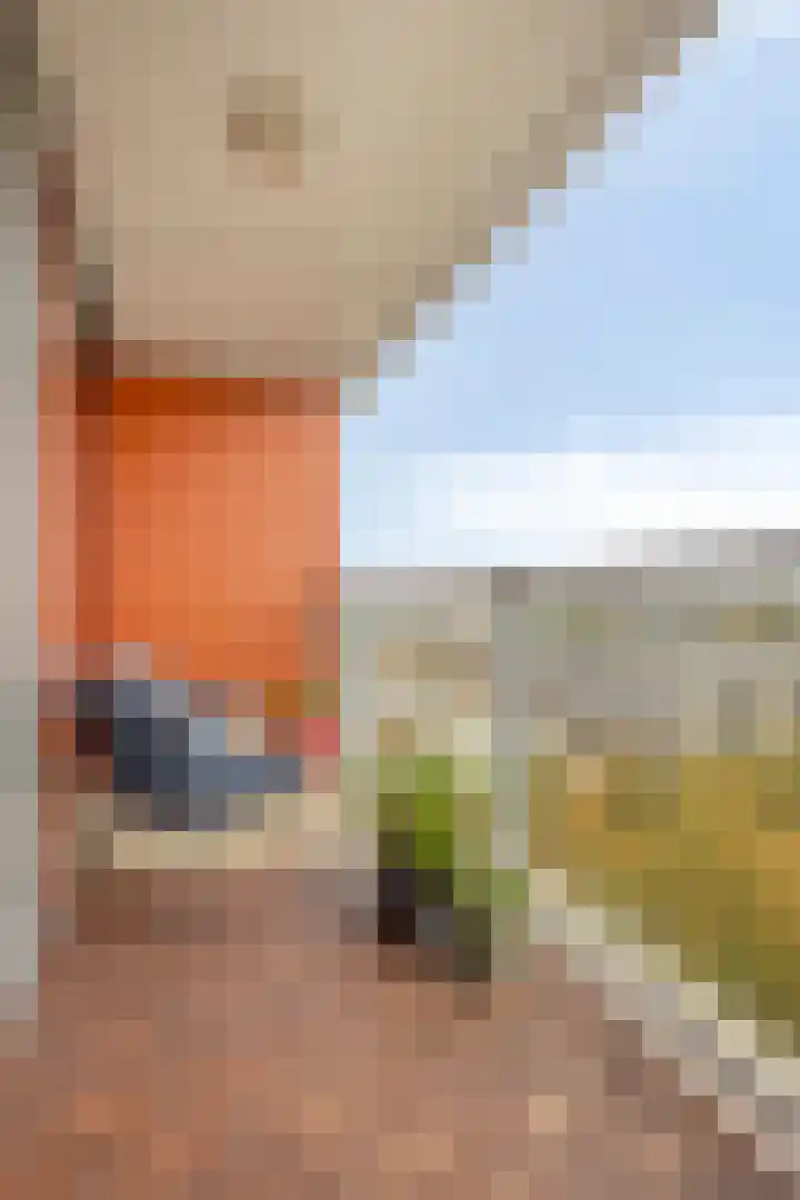 Osdorper Ban 1059 Amsterdam thumbnail 23