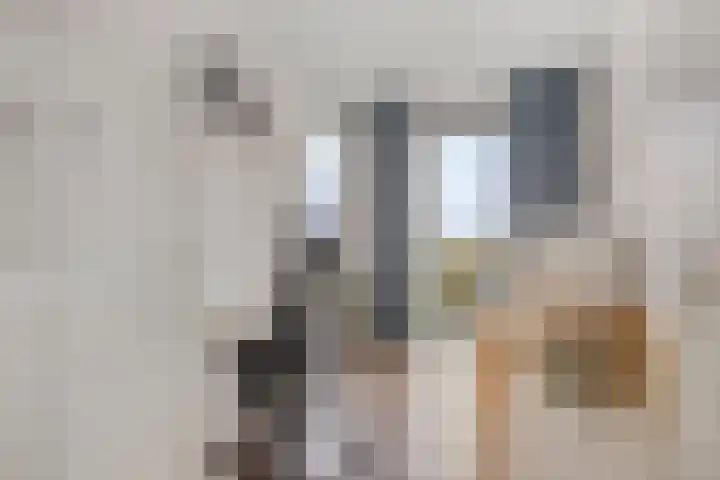 Osdorper Ban 1059 Amsterdam thumbnail 32