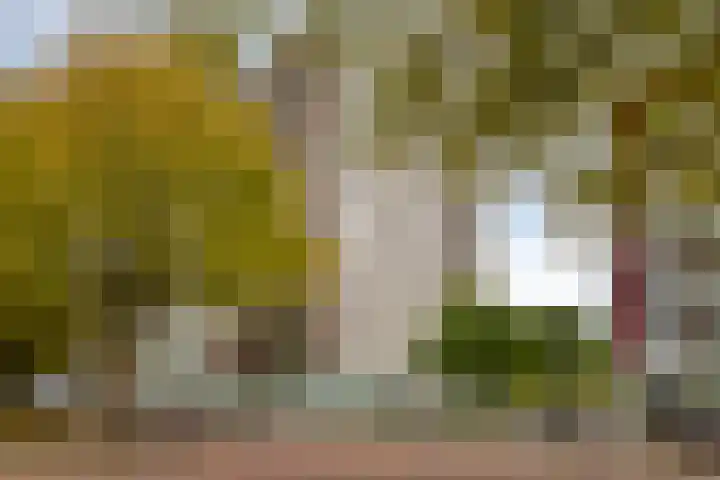 Osdorper Ban 1059 Amsterdam thumbnail 4