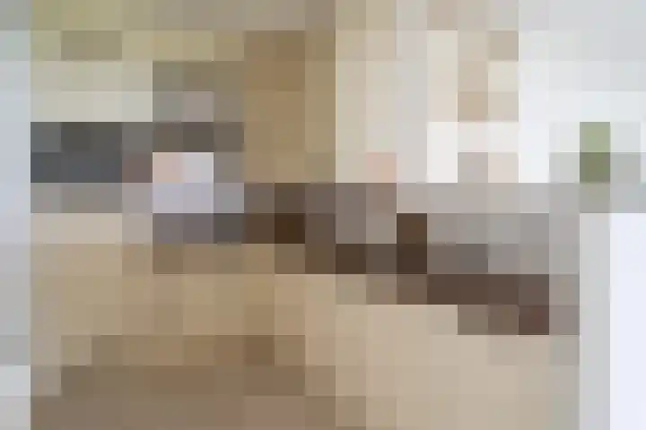 Osdorper Ban 1073 Amsterdam thumbnail 13