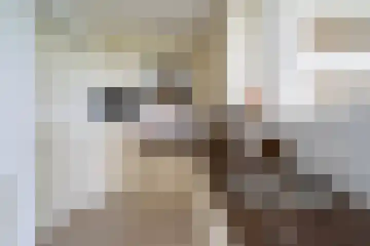 Osdorper Ban 1073 Amsterdam thumbnail 14