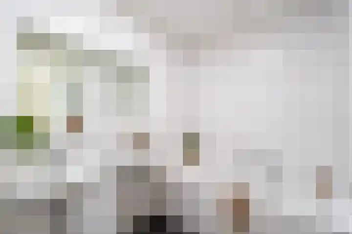 Osdorper Ban 1073 Amsterdam thumbnail 20