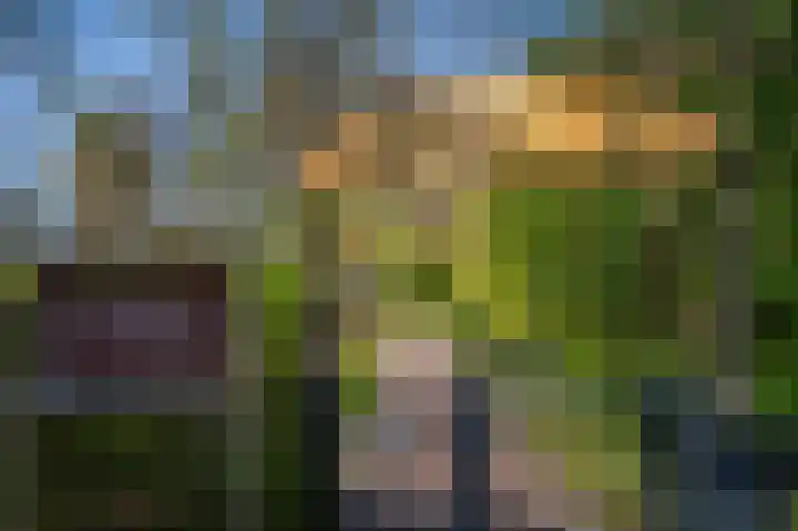 Osdorper Ban 1073 Amsterdam thumbnail 28