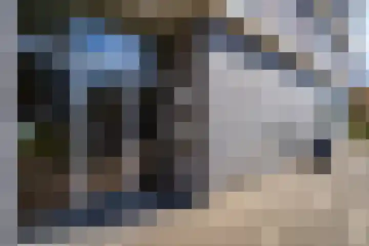 Osdorper Ban 1073 Amsterdam thumbnail 32