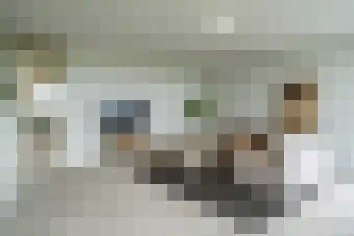 Osdorper Ban 1073 Amsterdam thumbnail 4