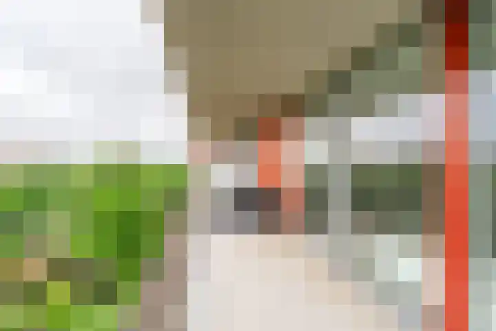 Osdorper Ban 1073 Amsterdam thumbnail 7