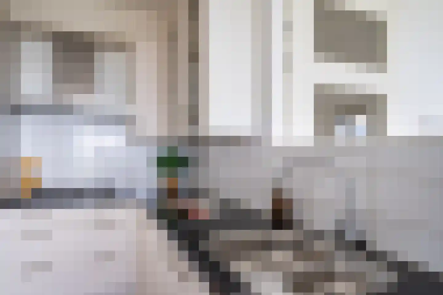 Osdorper Ban 1091 Amsterdam thumbnail 13