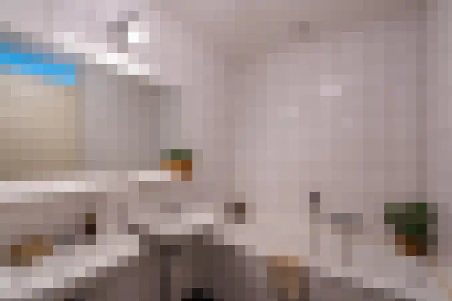 Osdorper Ban 1091 Amsterdam thumbnail 19