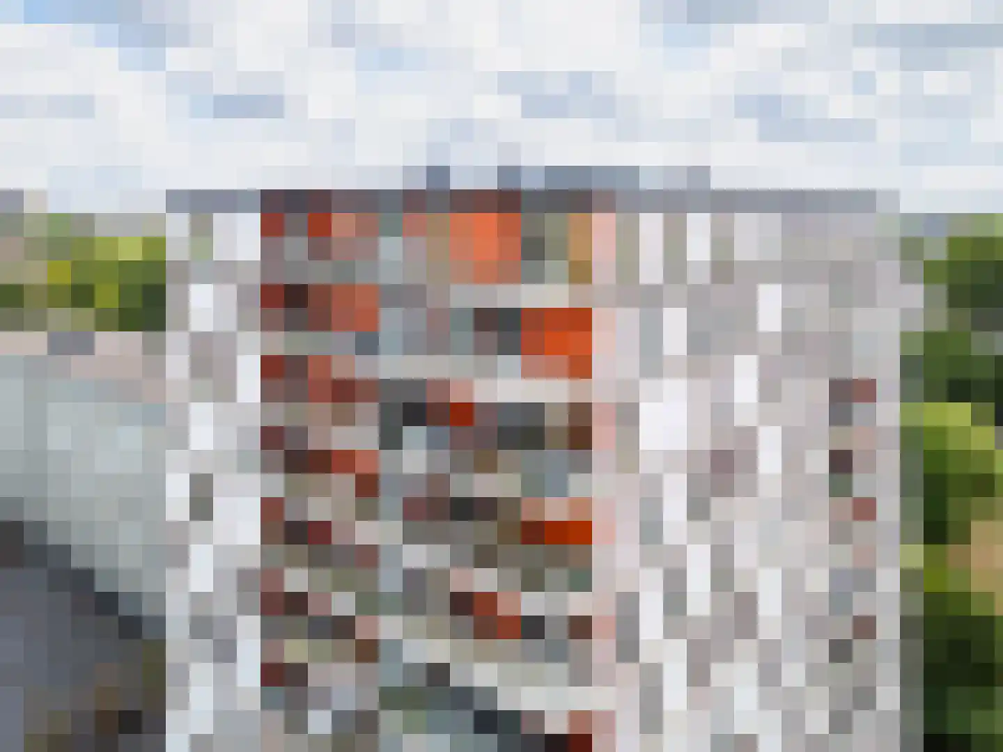 Osdorper Ban 1091 Amsterdam thumbnail 32