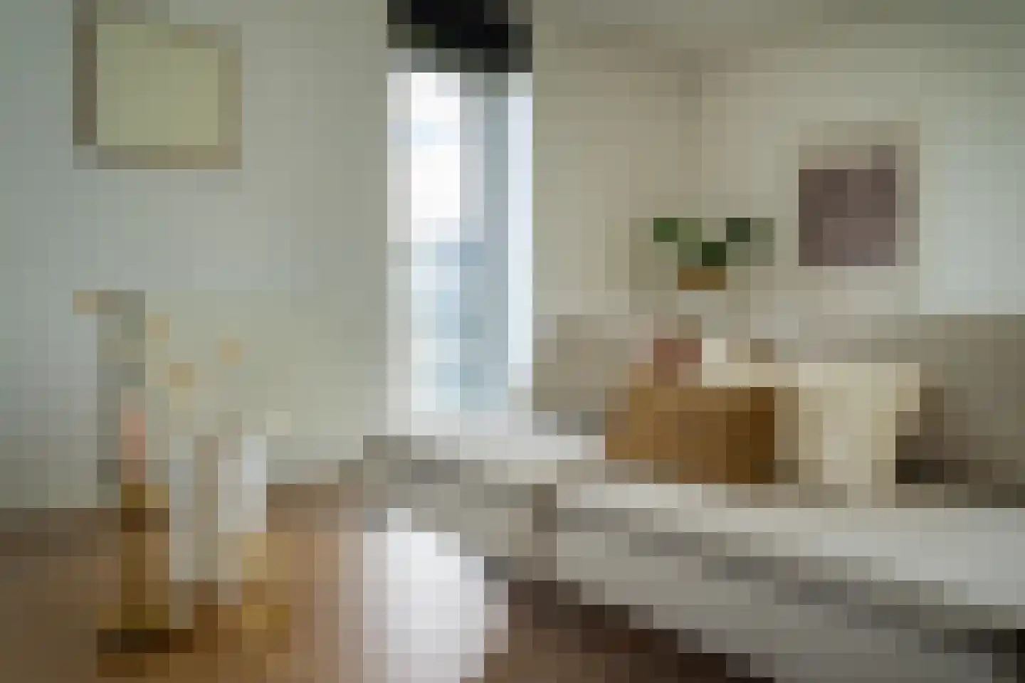 Osdorper Ban 1091 Amsterdam thumbnail 6