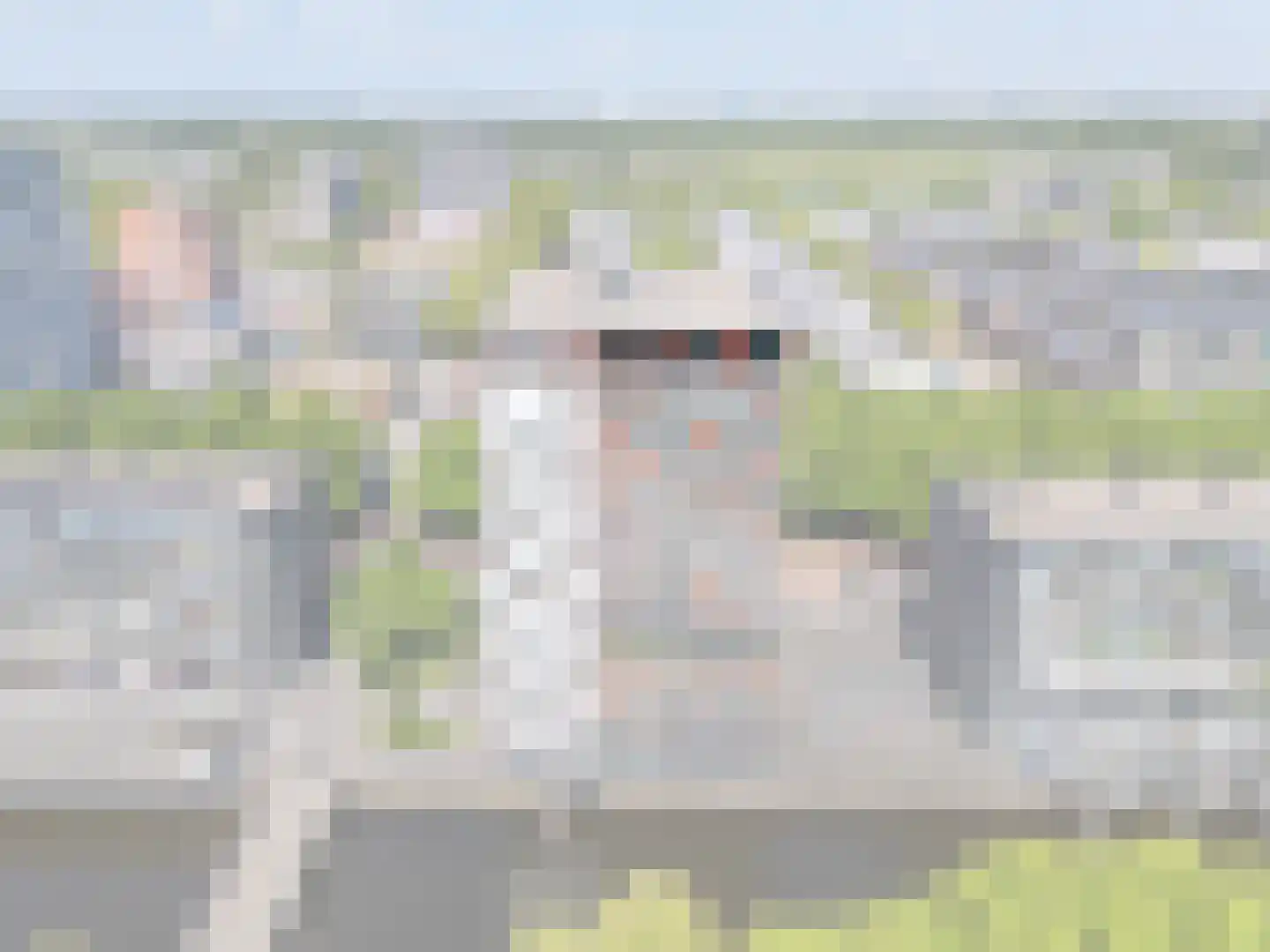Osdorper Ban 1097 Amsterdam thumbnail 6