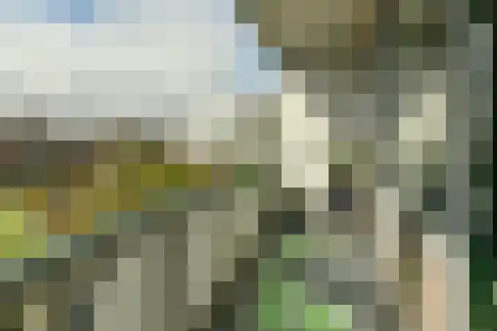 Osdorper Ban 201 Amsterdam thumbnail 5