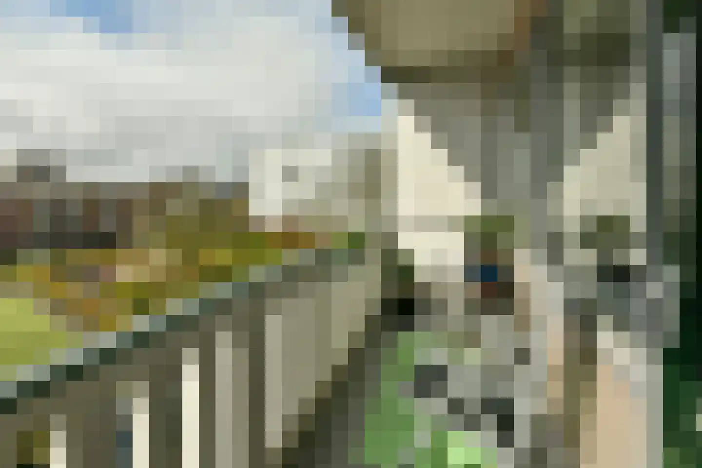 Osdorper Ban 201 Amsterdam thumbnail 5