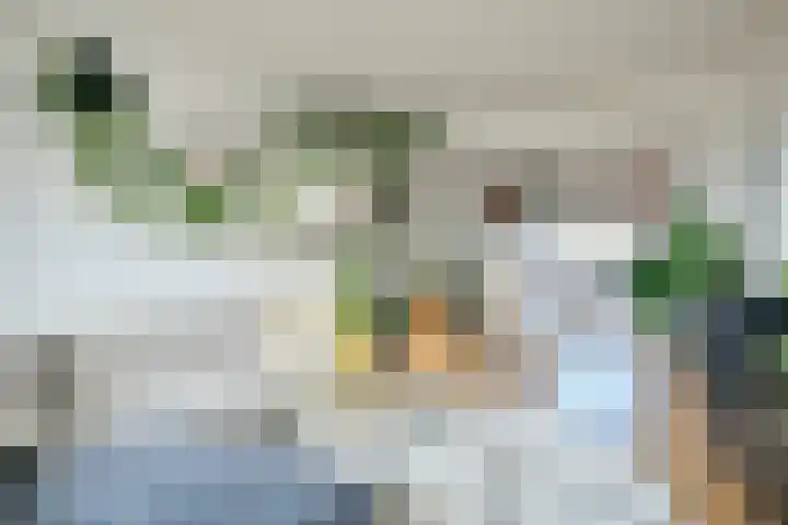 Osdorper Ban 201 Amsterdam thumbnail 6