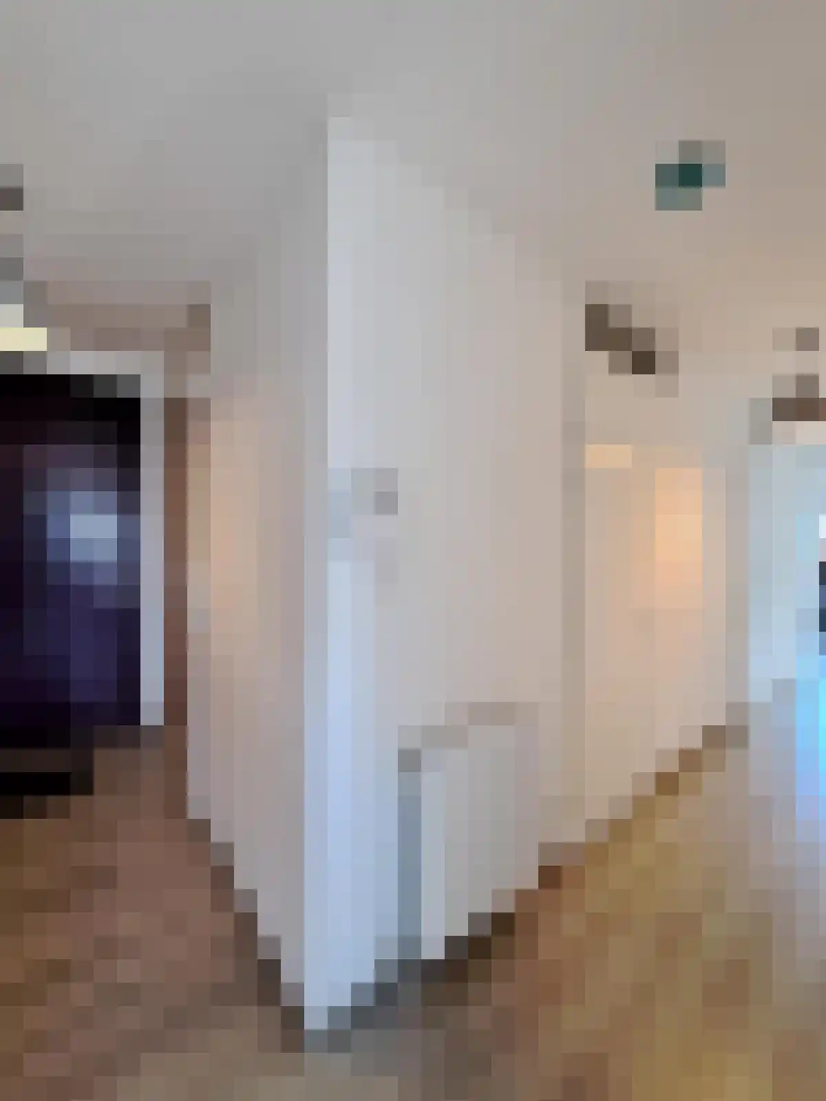 Osdorper Ban 2051 Amsterdam thumbnail 6