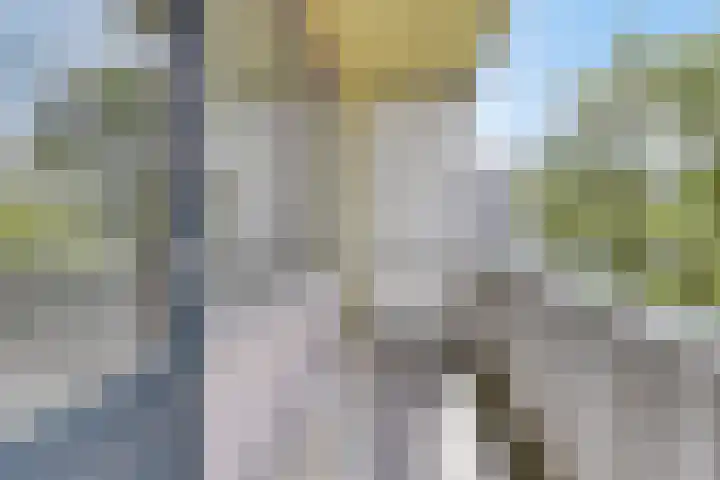 Osdorper Ban 219 Amsterdam thumbnail 21