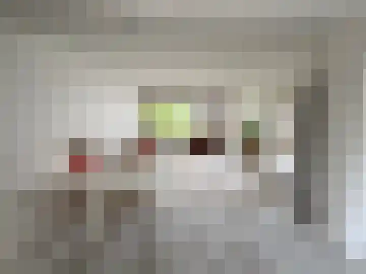 Osdorper Ban 219 Amsterdam thumbnail 5