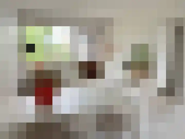 Osdorper Ban 219 Amsterdam thumbnail 7