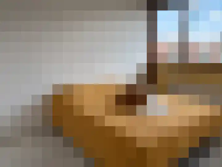 Osdorper Ban 219 Amsterdam thumbnail 9