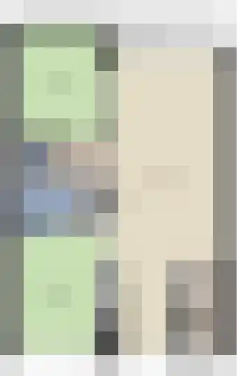 Osdorper Ban 221 Amsterdam thumbnail 24