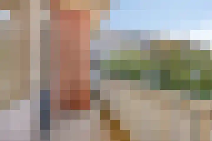 Osdorper Ban 229 Amsterdam thumbnail 14