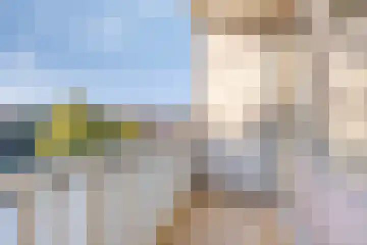 Osdorper Ban 229 Amsterdam thumbnail 15