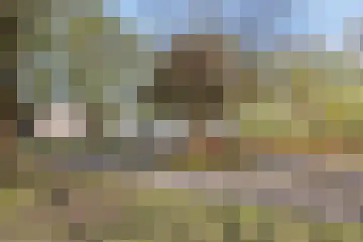 Osdorper Ban 341 Amsterdam thumbnail 31