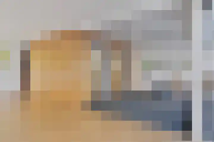 Osdorper Ban 341 Amsterdam thumbnail 6