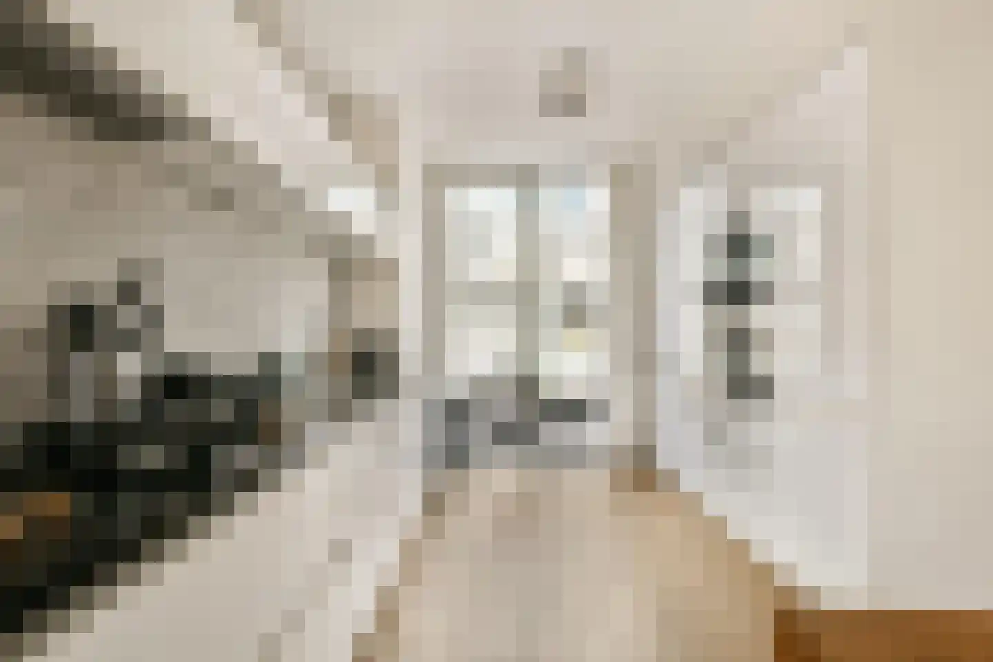 Osdorper Ban 549 Amsterdam thumbnail 7