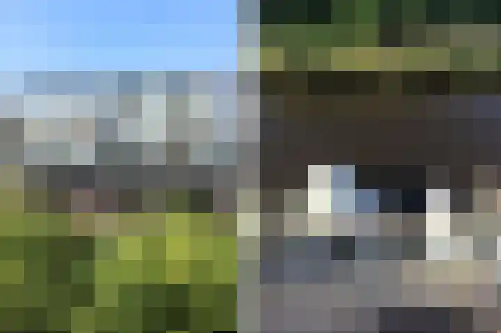 Osdorper Ban 553 Amsterdam thumbnail 51