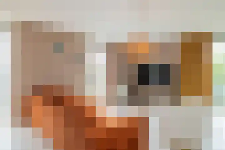 Osdorper Ban 599 Amsterdam thumbnail 10