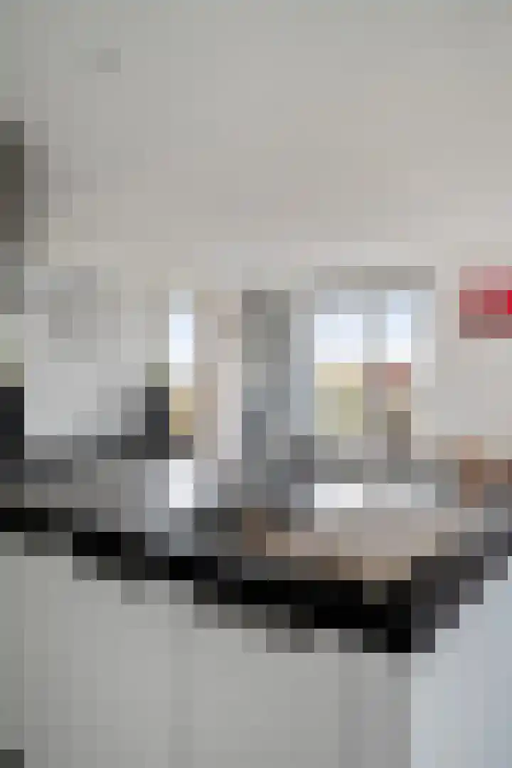 Osdorper Ban 619 Amsterdam thumbnail 16