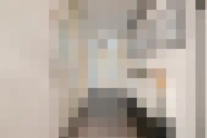 Osdorper Ban 619 Amsterdam thumbnail 8