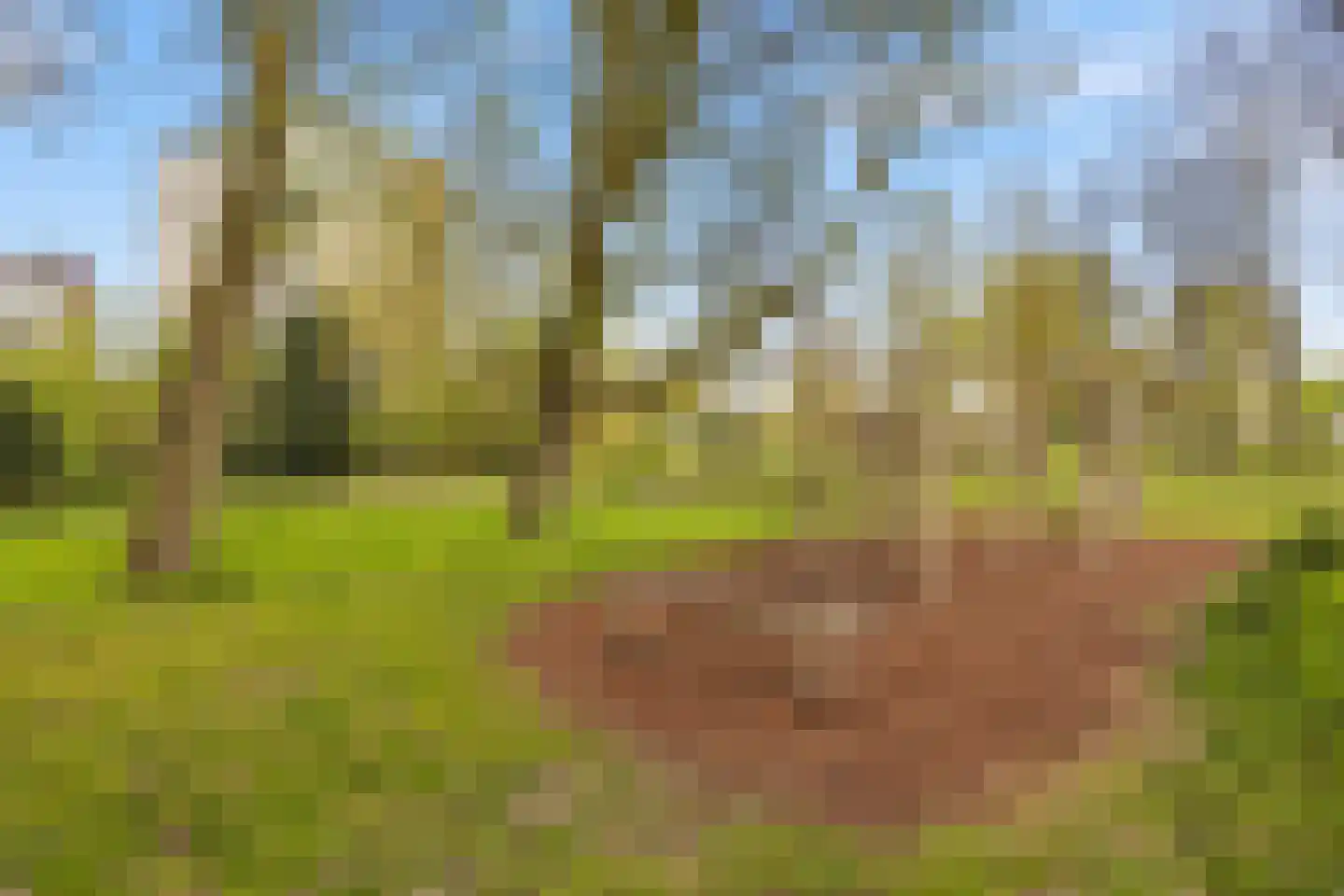 Osdorper Ban 647 Amsterdam thumbnail 33