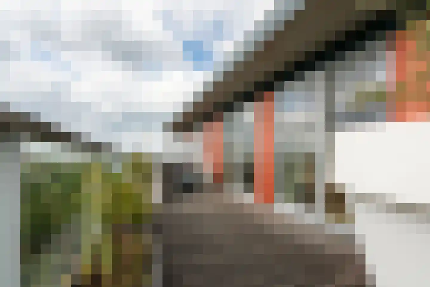 Osdorper Ban 707 Amsterdam thumbnail 30