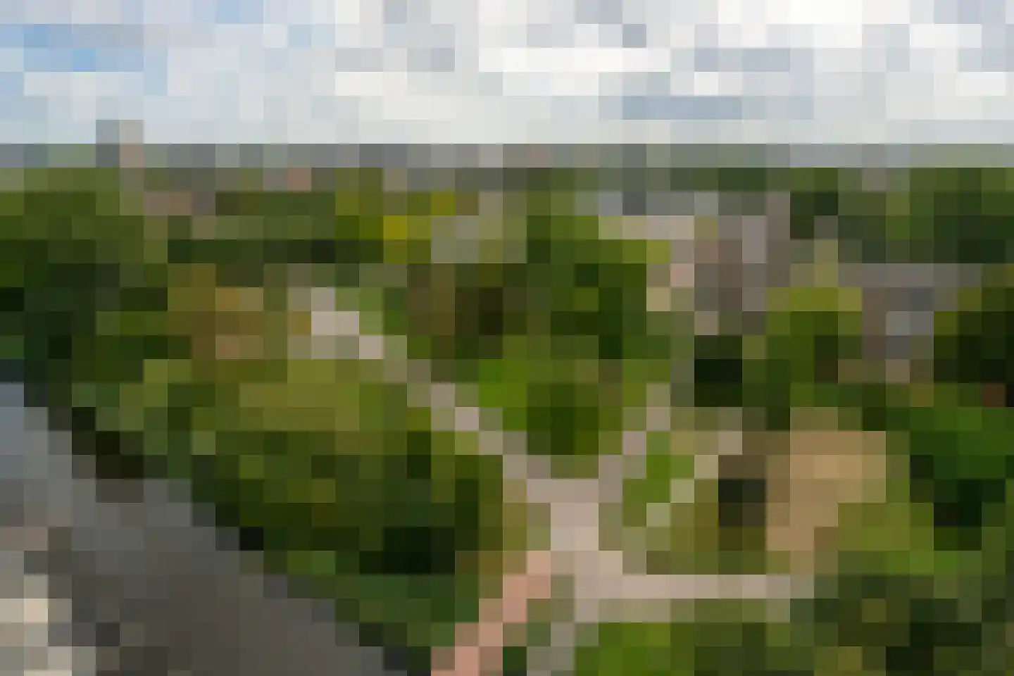 Osdorper Ban 707 Amsterdam thumbnail 32