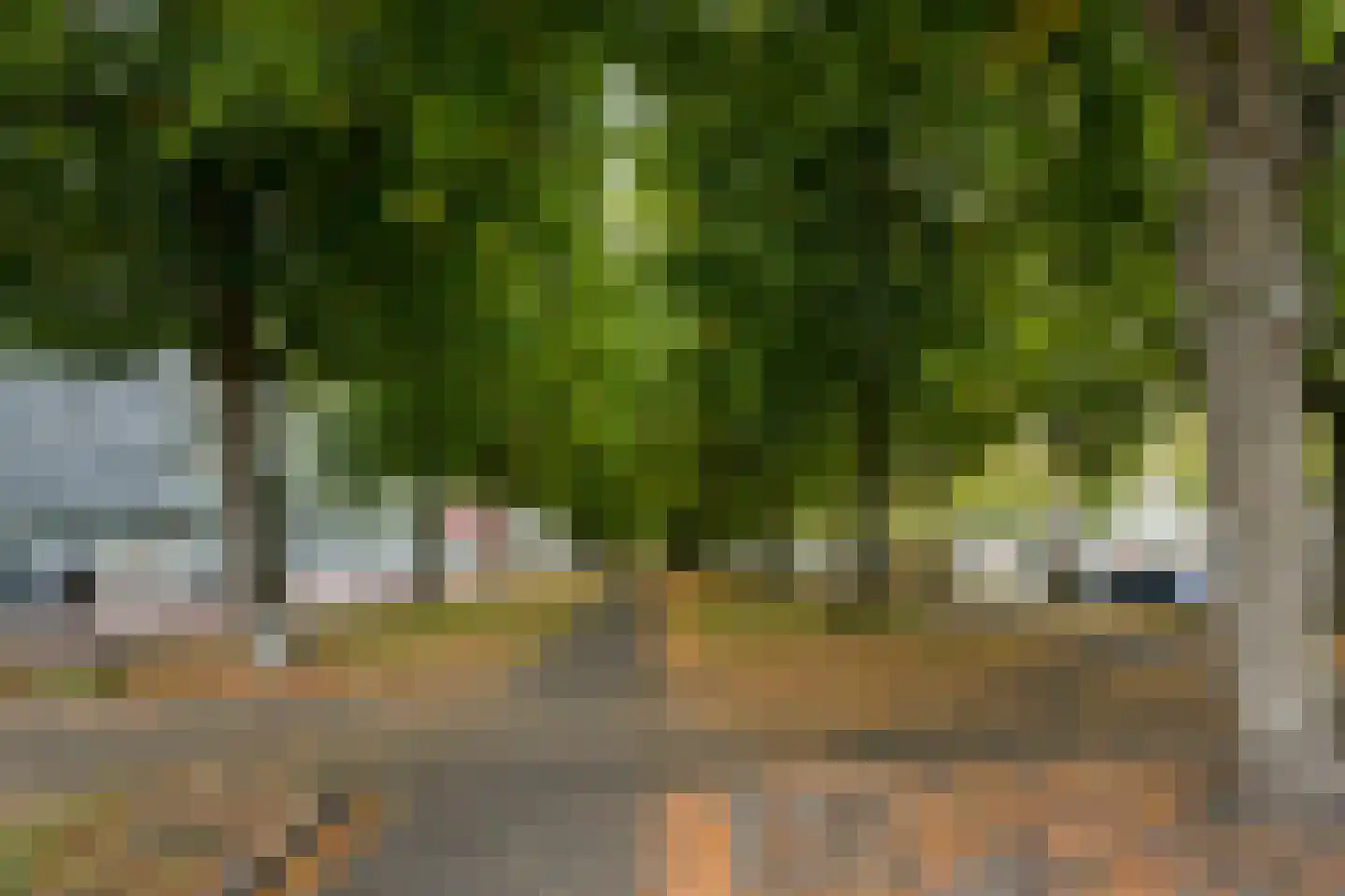 Osdorper Ban 707 Amsterdam thumbnail 39