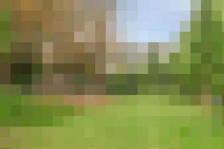Osdorper Ban 731 Amsterdam thumbnail 25