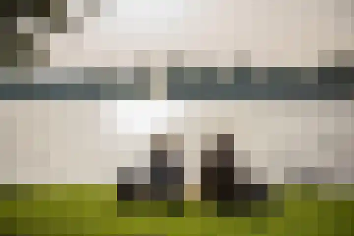 Osdorper Ban 731 Amsterdam thumbnail 29