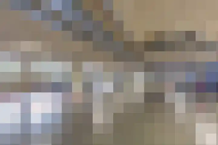 Osdorper Ban 731 Amsterdam thumbnail 5