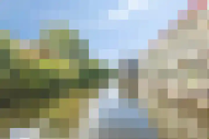 Osdorper Ban 731 Amsterdam thumbnail 6